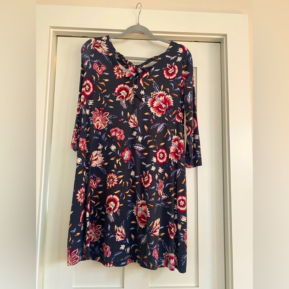 Ann Taylor Loft Dress